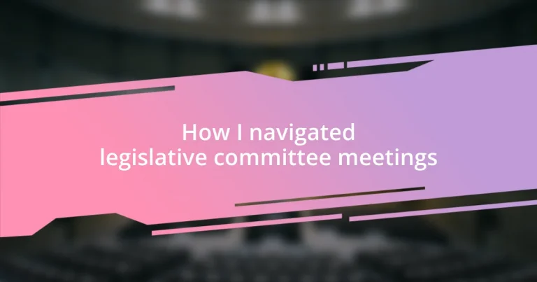 How I navigated legislative committee meetings