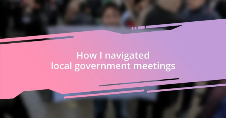 How I navigated local government meetings