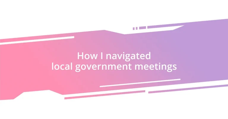 How I navigated local government meetings