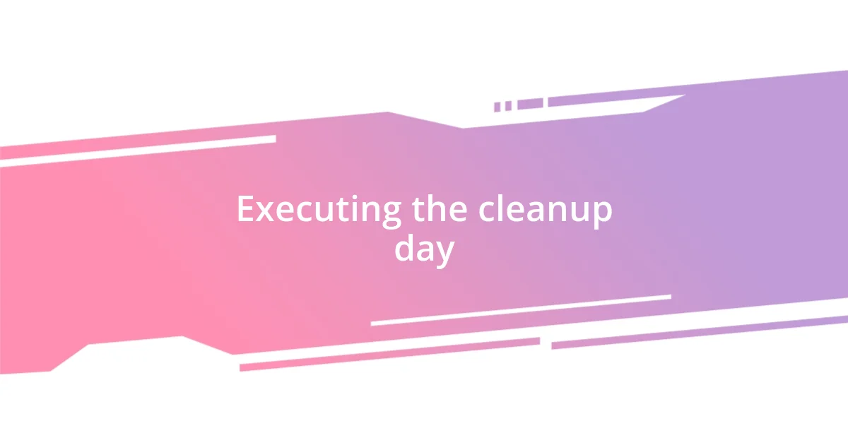 Executing the cleanup day